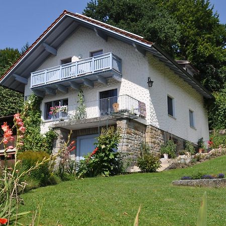 Ferienwohnung Regentalblick Miltach Exterior foto